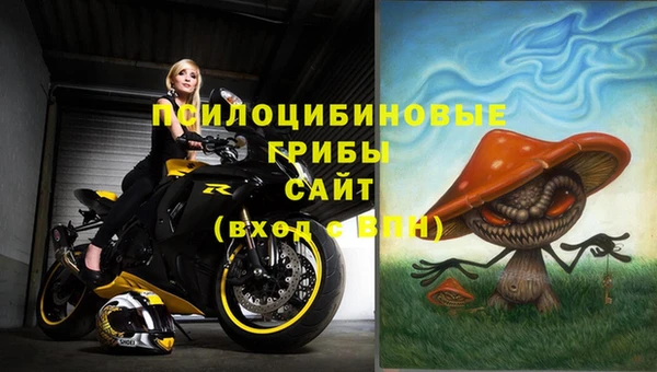 мдпв Куйбышев