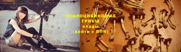 мдпв Куйбышев